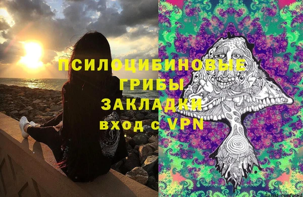 PSILOCYBIN Беломорск