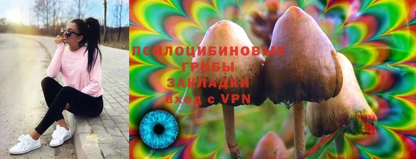 PSILOCYBIN Беломорск